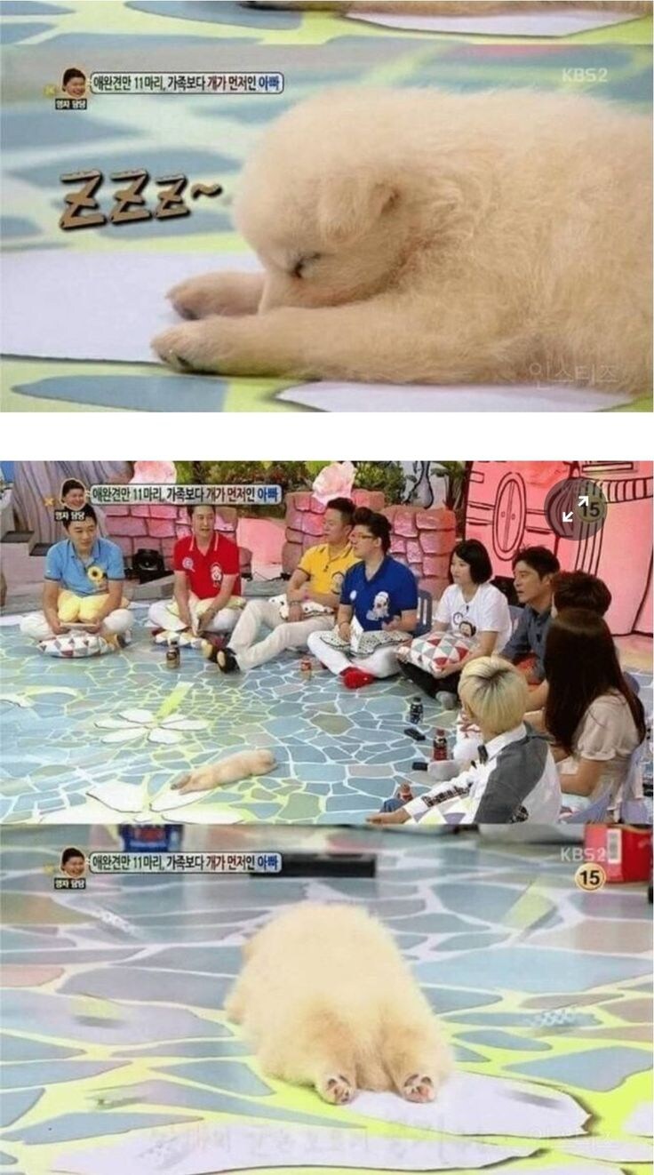 방송태도논란이 있었지만 또 보고싶었던 출연자.jpg_1.jpg