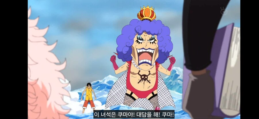 [원피스] 흔한 과거를 알면 의미가 다르게 보이는 장면_16.jpg