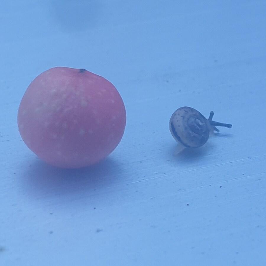 초록빛 계곡물에 폰카를 담그면~_1.jpg