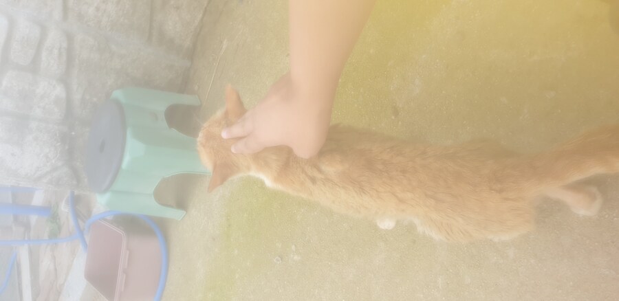 초록빛 계곡물에 폰카를 담그면~_3.jpg