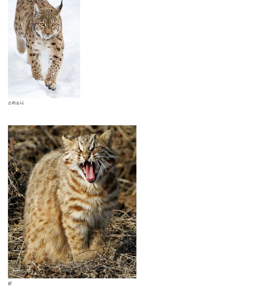 누구나 다 아는 한국에 원숭이가 없는 이유....jpg_6.png