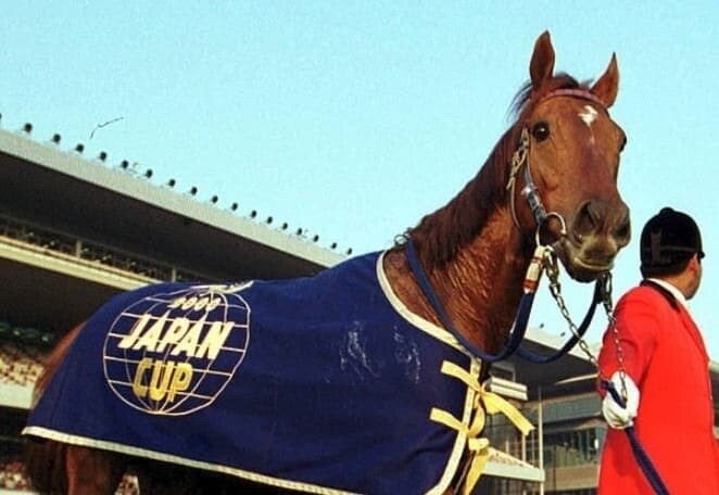 커리어는 역대급이었는데 인기가 미묘했던 말_3.jpg