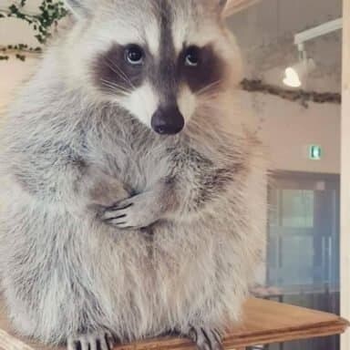 쥬라기공원) 와 드디어 익룡들이 대규모로 나오는구나!_6.jpg