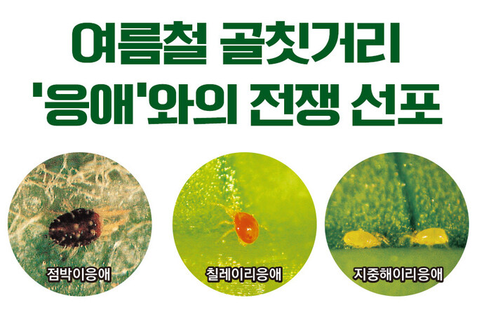어떻게 벌레 이름이 응애.jpg_1.jpg