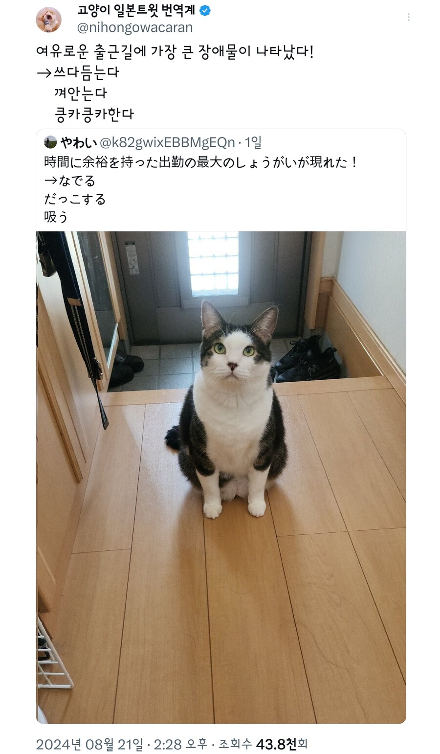 출퇴근시 마중해주는 동물들.jpg_3.jpg
