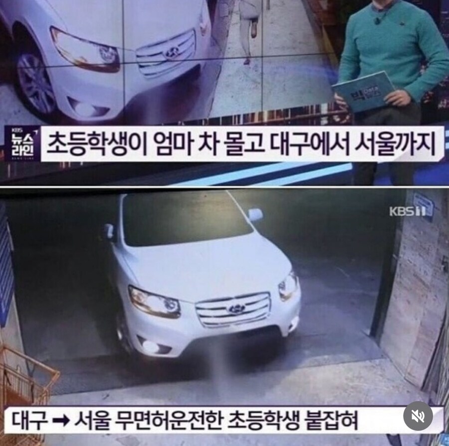 무면허운전한 초등생.jpg