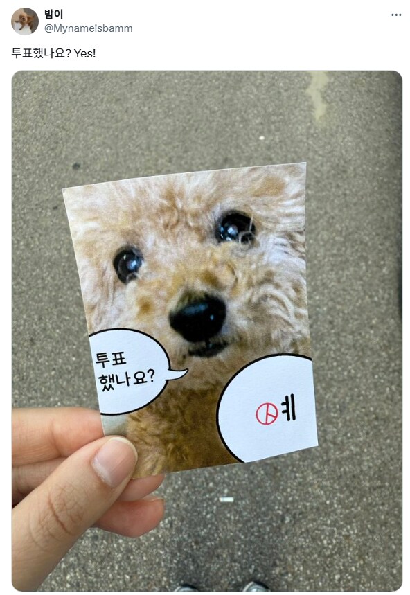 스압) 이번 선거 각양각색 투표 인증.jpg_10.png