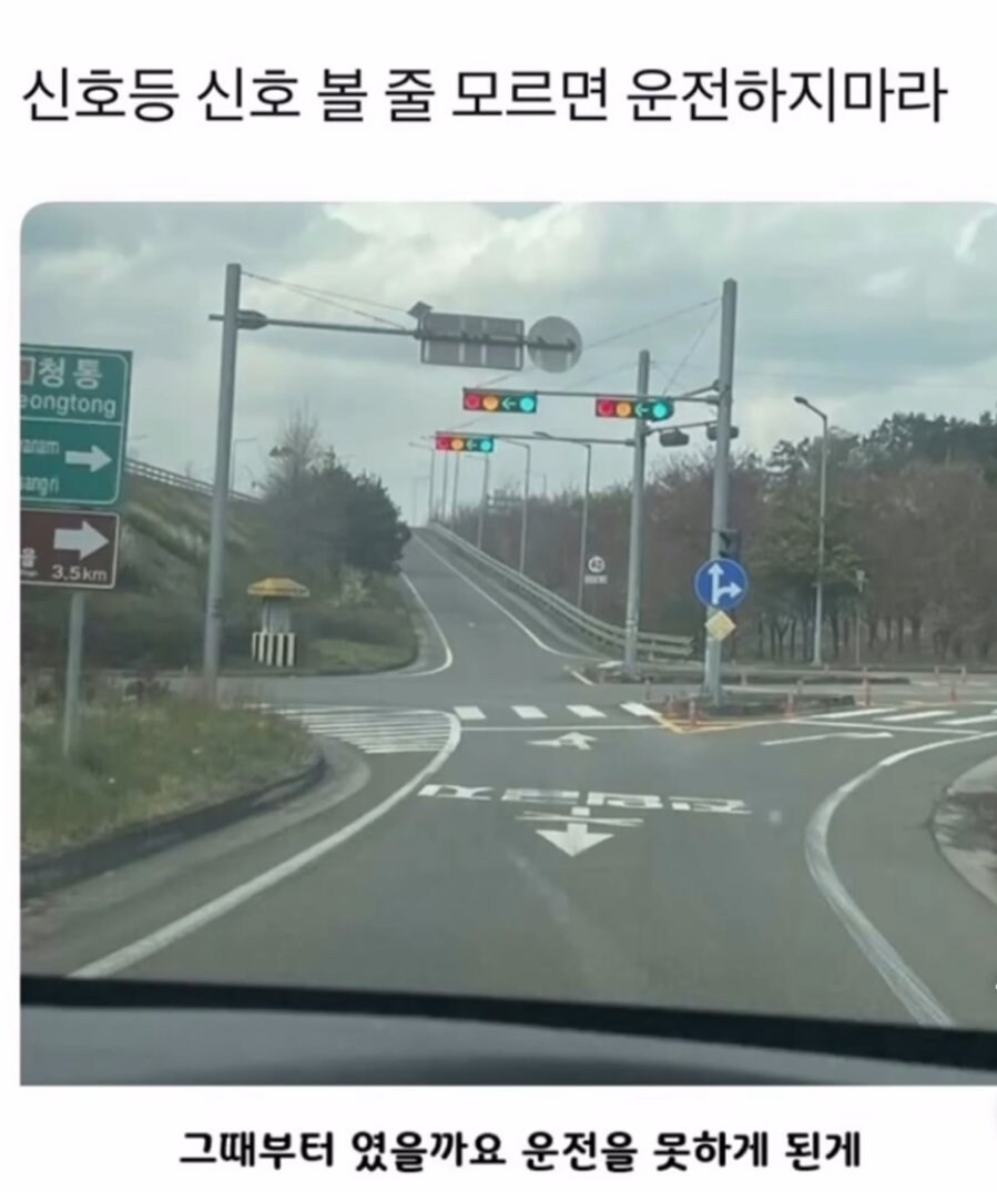 신호등 신호 볼 줄 모르면 운전하면안됨.jpg_1.jpg