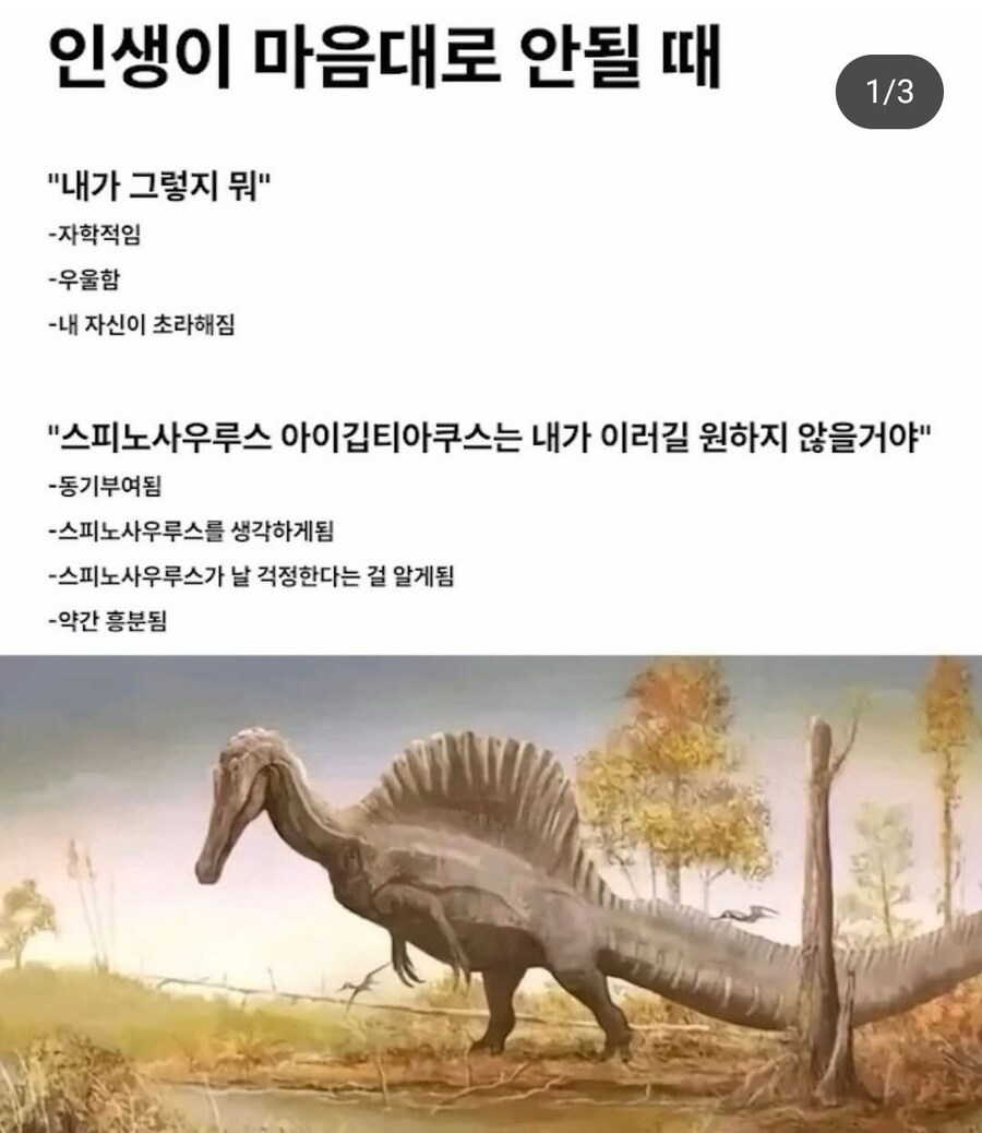 인생이 마음대로 안될 때 해야하는것.jpg_1.jpg