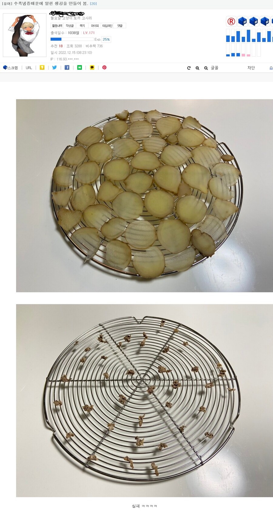 전기파리채에 타 죽은 나방_1.jpg