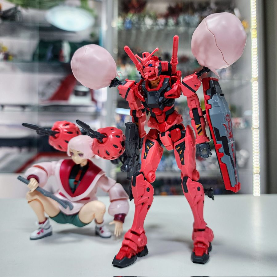 HG GO 1/144 붉은 건담 비트 계열 외 추가 조합 사진_8.jpg