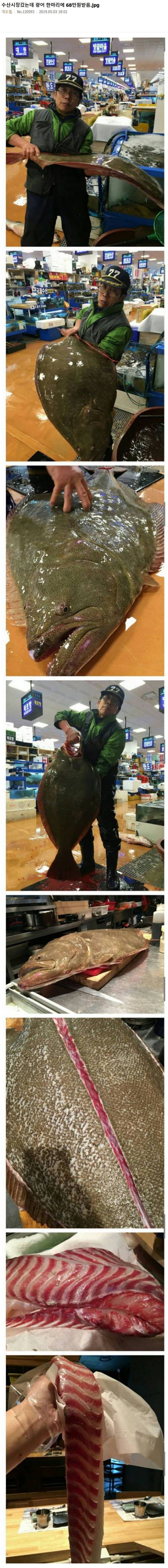 수산시장 갔는데 광어 한마리 68만원 받아 논란_1.jpg