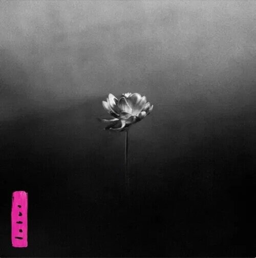 [CD/LP] Little Simz 6집 Lotus (6.17)_2.png