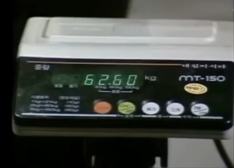 낭만과 광기의 예전 한국 방송_5.png