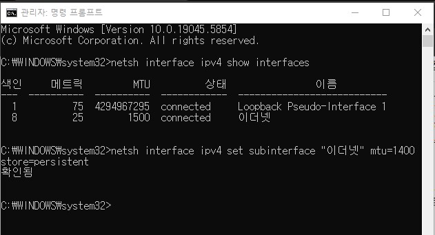 워싱턴D.C 와 브루클린DLC 이동시 무한 로딩 버그 깨알팁_2.png