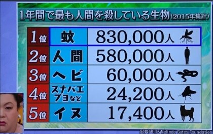 사람을 가장 많이 죽인 생물_1.jpg