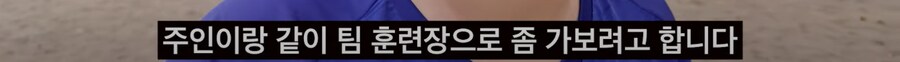 아프리카 축구팀 인수한 한국인 유튜버_15.png