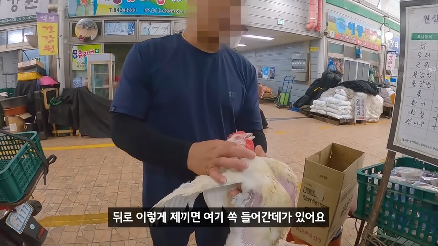 약혐) 무인도에 살아있는 닭 가져가기_6.png