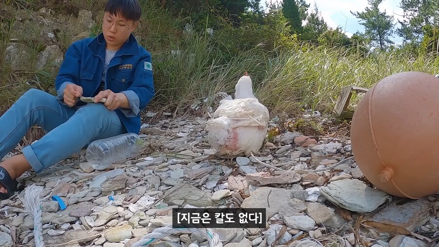 약혐) 무인도에 살아있는 닭 가져가기_12.png