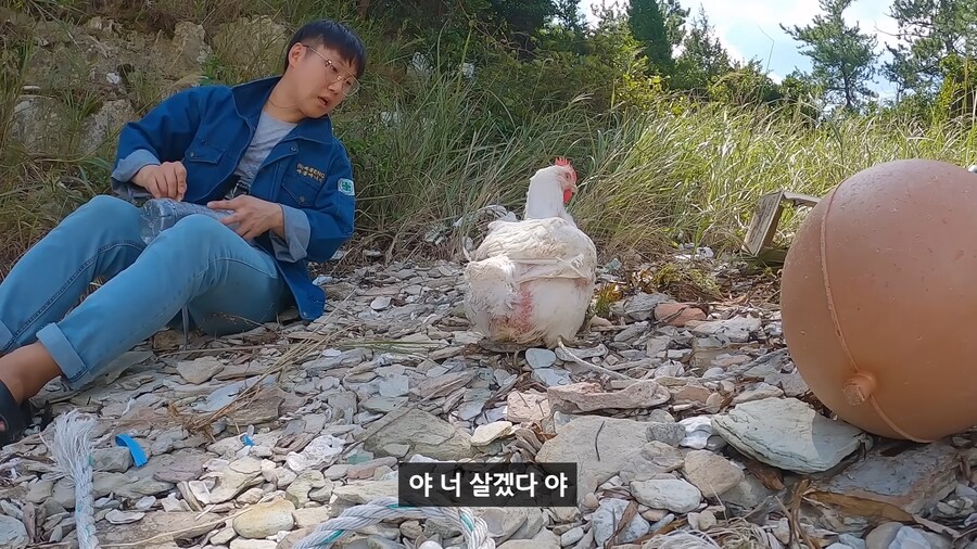약혐) 무인도에 살아있는 닭 가져가기_14.png