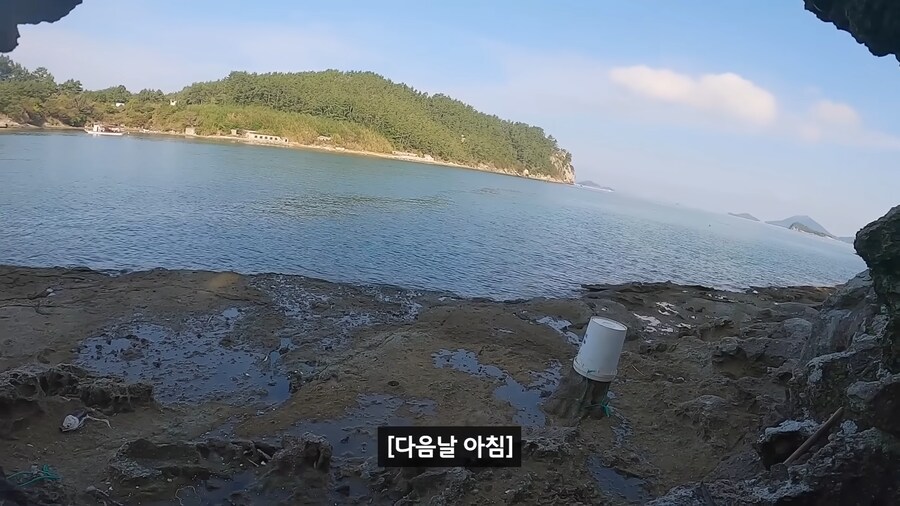 약혐) 무인도에 살아있는 닭 가져가기_15.png