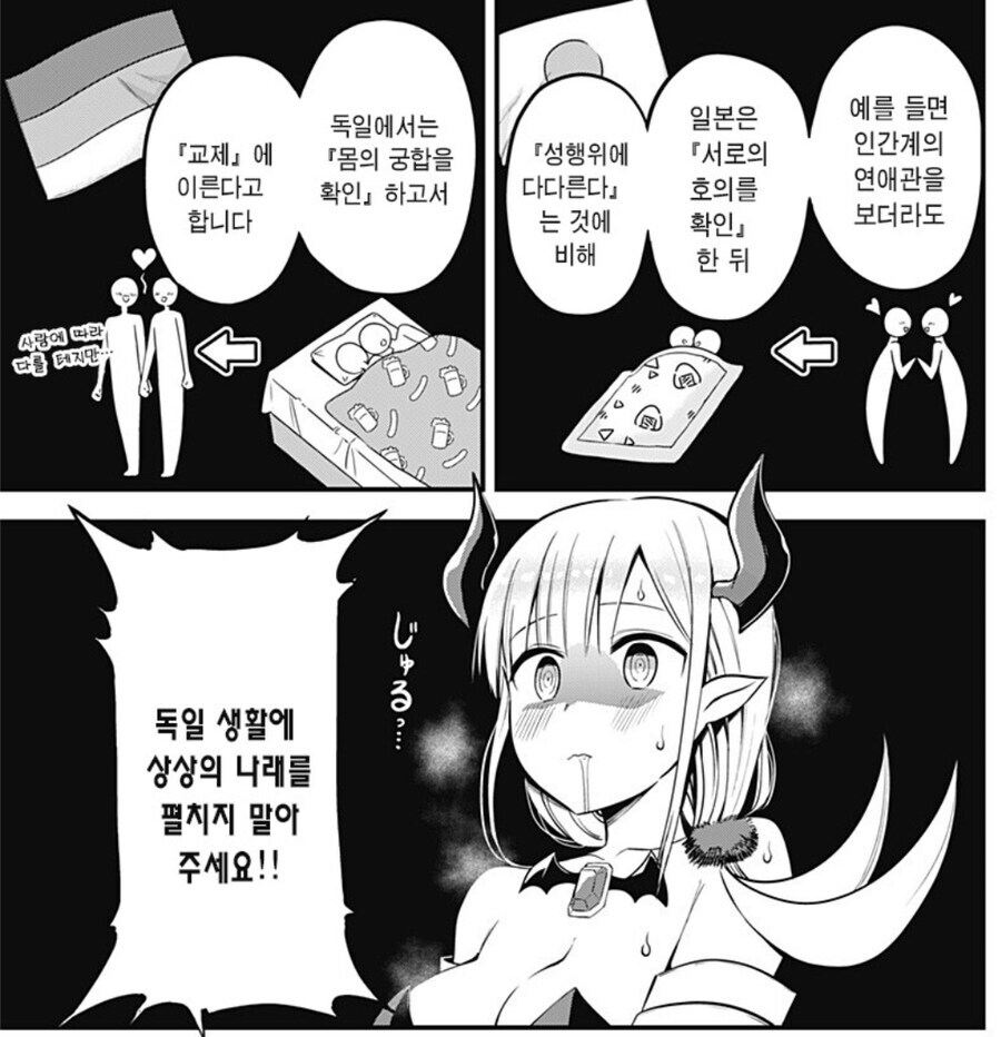 독일 생활에 환상을 품는 일본 거주 서큐버스.jpg