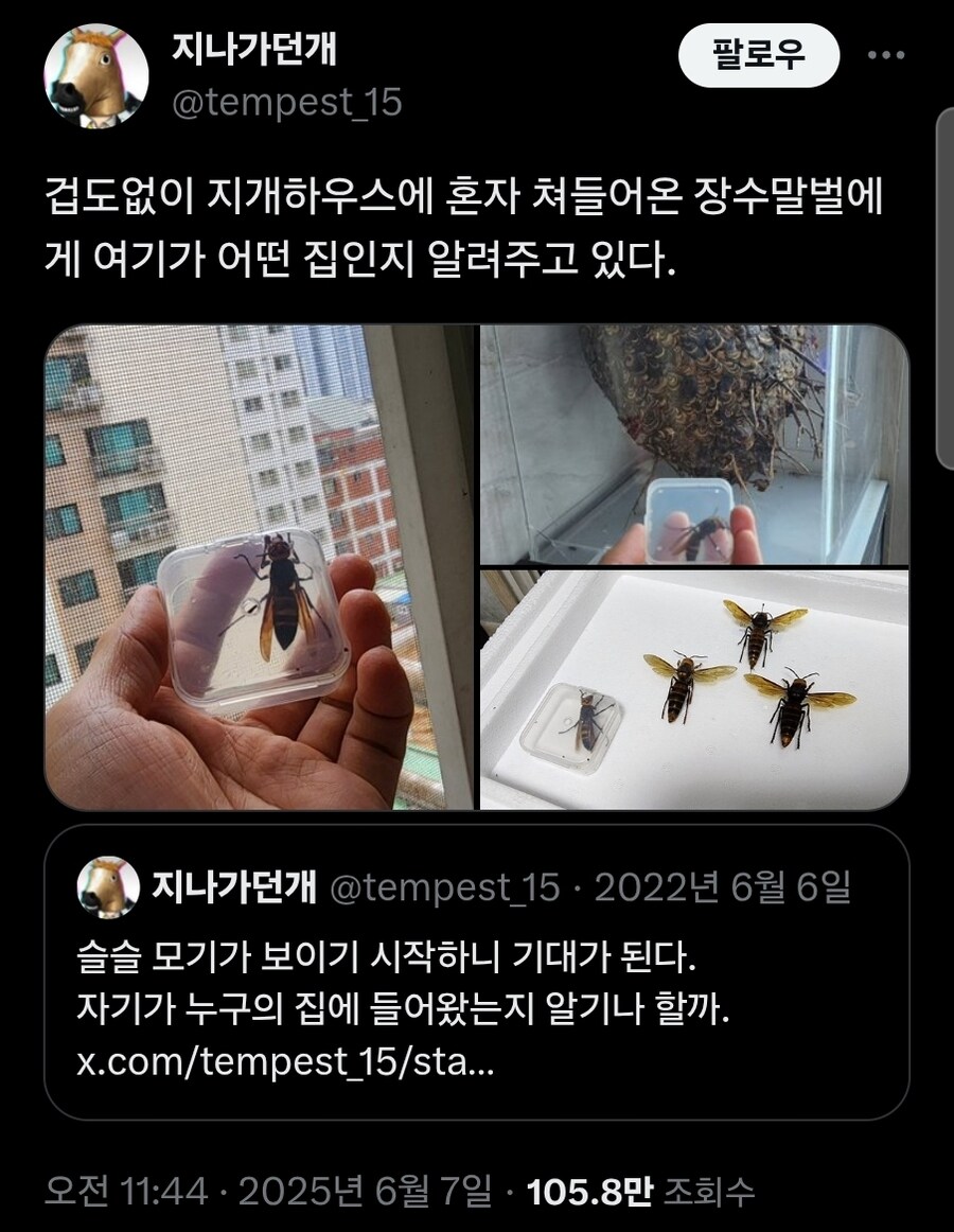 어느 작가의 집에 들어온 장수말벌이 겪은 일.twit_1.jpg