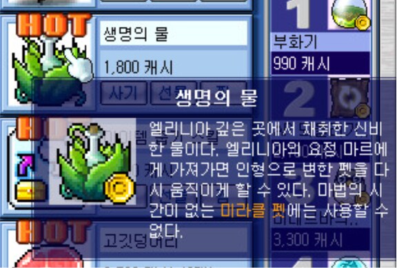 메이플에서 펫 관련 설정이 바뀐 이유_4.png