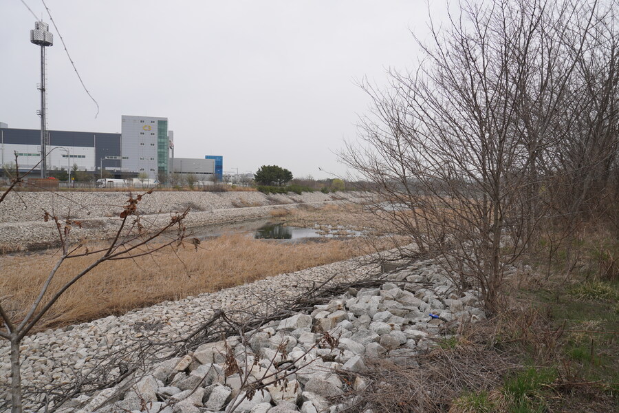 4월, 두번째 영종도 탐조_18.jpg