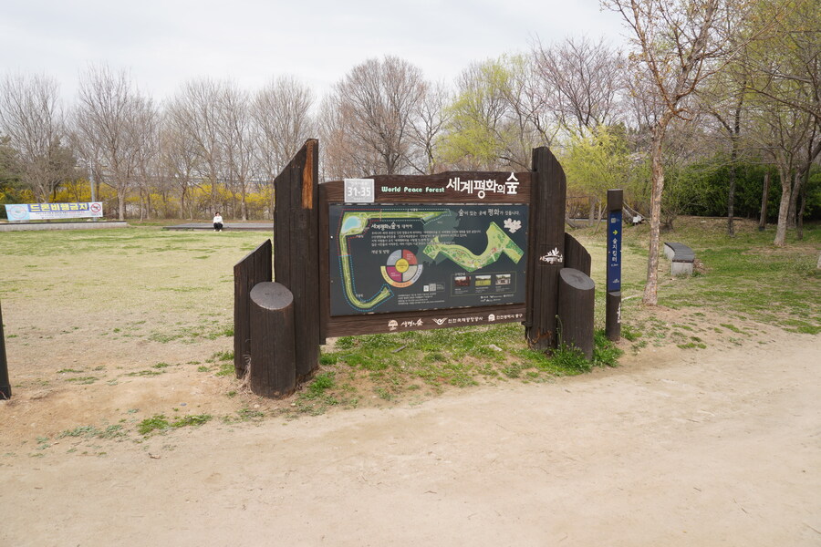 4월, 두번째 영종도 탐조_30.jpg