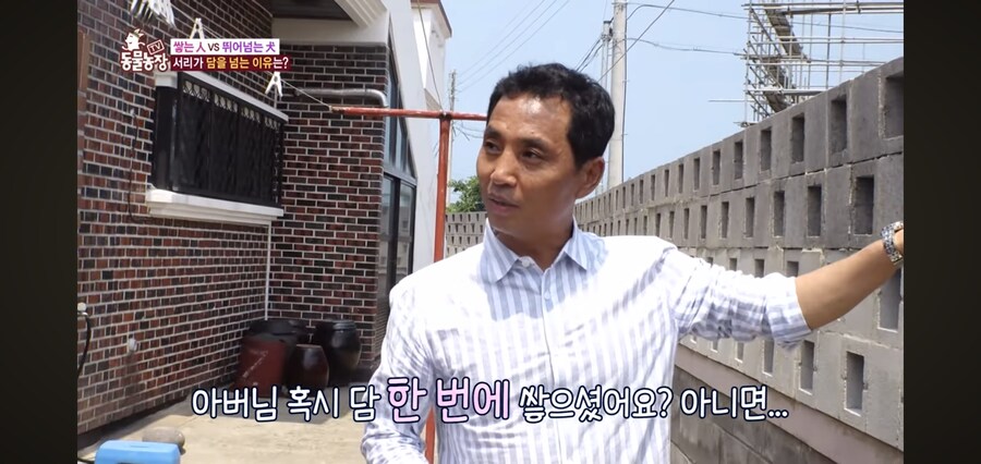 애들 체력 뺀다고 뛰어놀게 하지 말아야 하는 이유_7.jpg