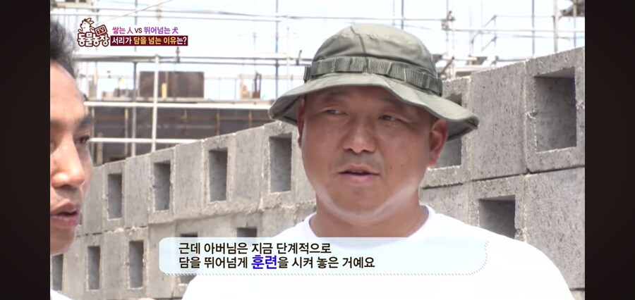 애들 체력 뺀다고 뛰어놀게 하지 말아야 하는 이유_13.jpg