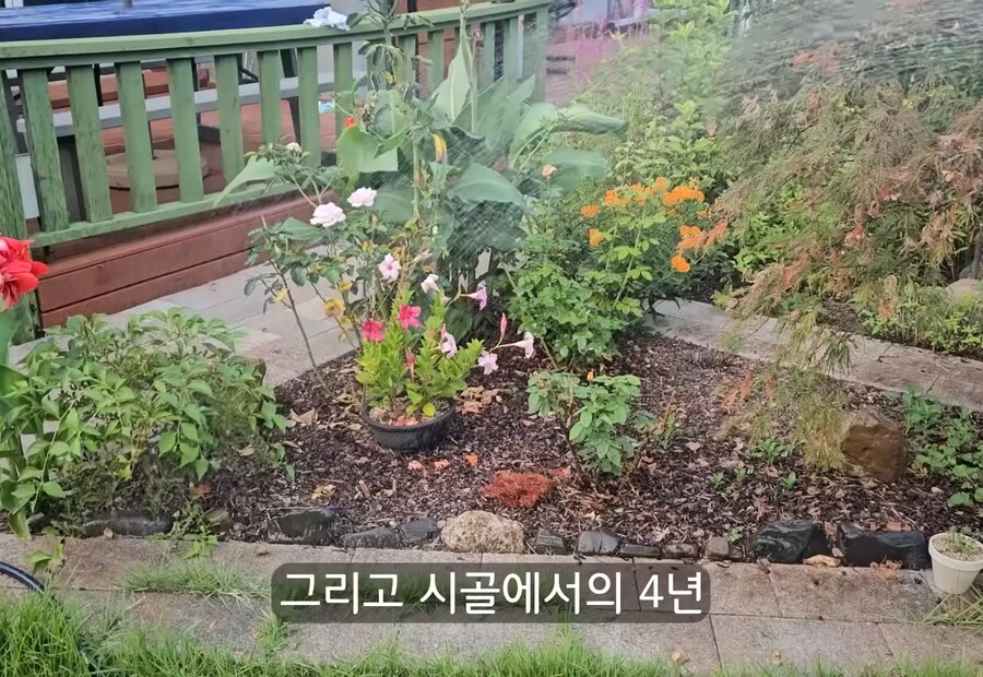 휴식을 위해 '귀촌'을 한 사람들이 깨닫게 되는 현실_15.jpg
