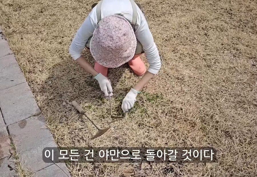 휴식을 위해 '귀촌'을 한 사람들이 깨닫게 되는 현실_21.jpg