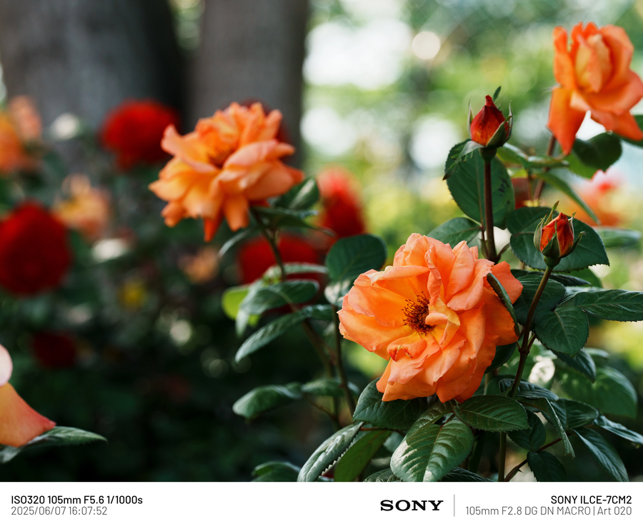 [사진] 남성 갱년기 픽_6.webp