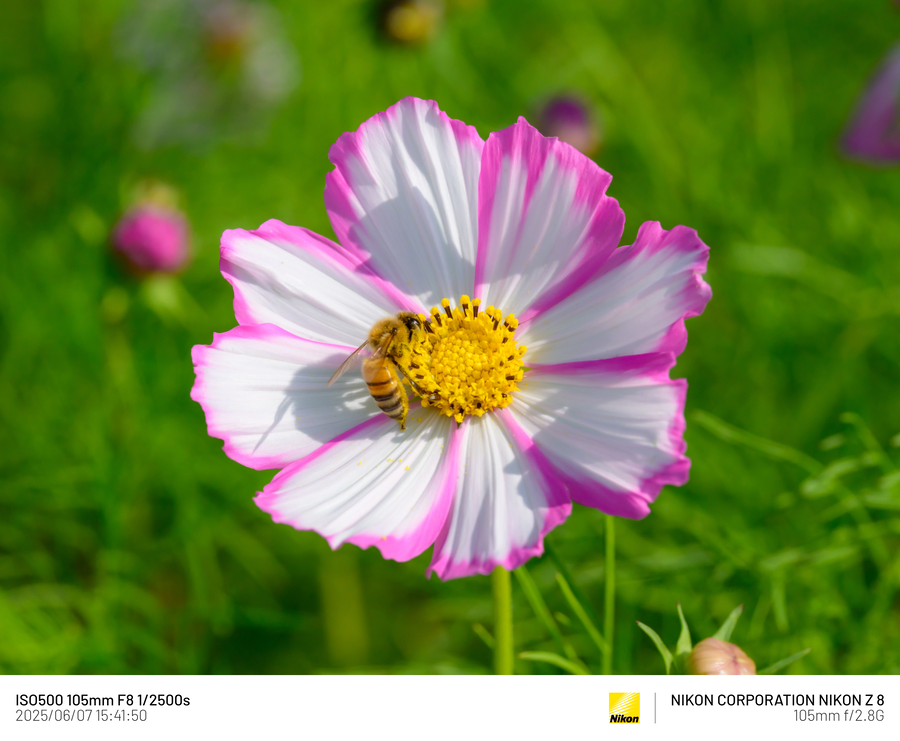 [사진] 남성 갱년기 픽_8.webp