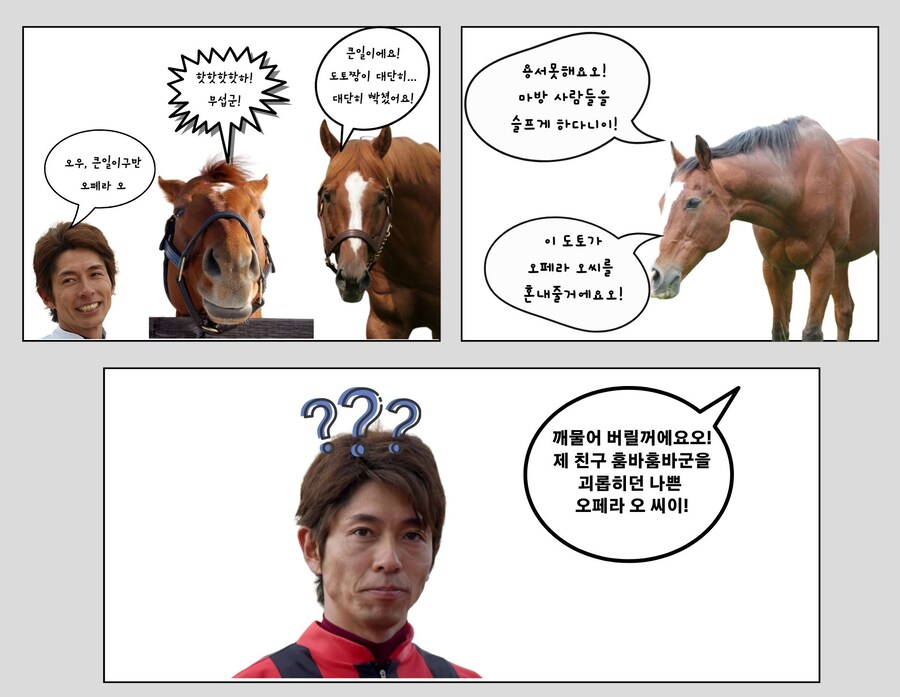 말의 똑똑함을 알 수 있는 유명한 일화_11.jpg