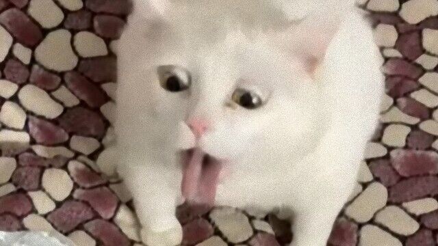 실제로 경험한 여자땀 냄새.jpg_2.jpg