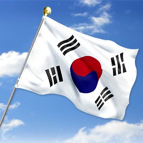 결국 한국에서 시구 취소된 아라타 모모코 jpg_3.jpg