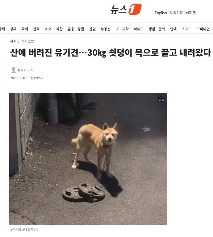 본격 인간이 미안하다는 이야기_1.jpg