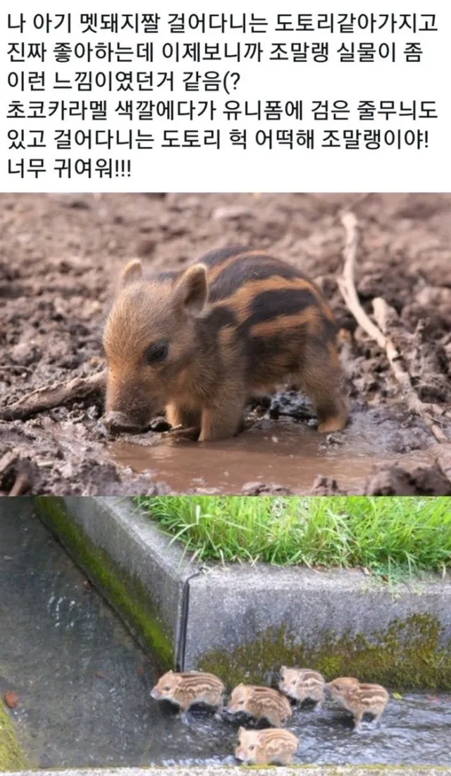 사실상 경계경보_1.webp