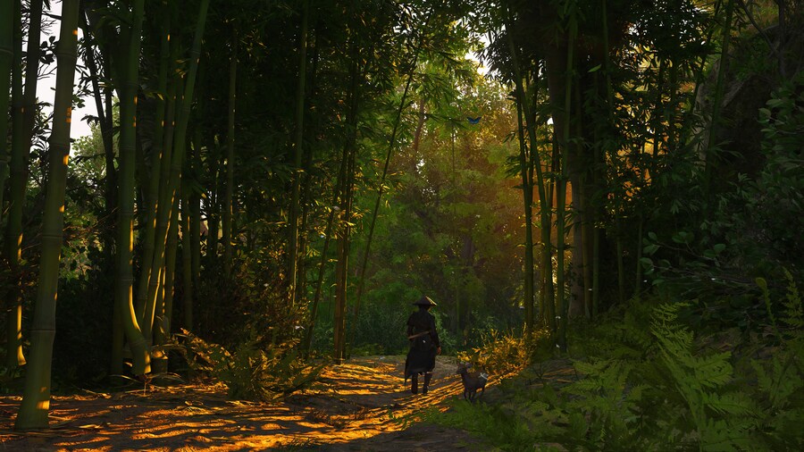 Assassin's Creed® Shadows_20.jpg