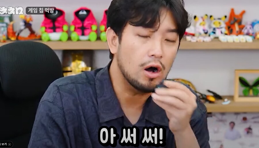 닌텐도 테이스팅 가이드(feat.침착맨)_13.png