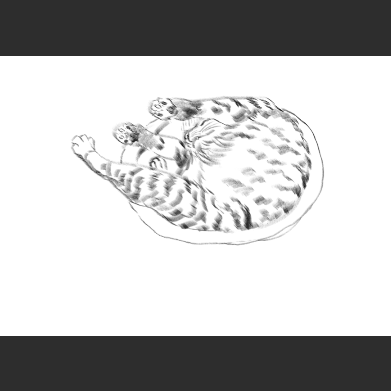 우리집 고양이그림 보고가셈_5.png