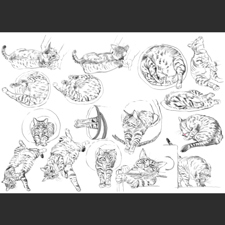 우리집 고양이그림 보고가셈_13.png