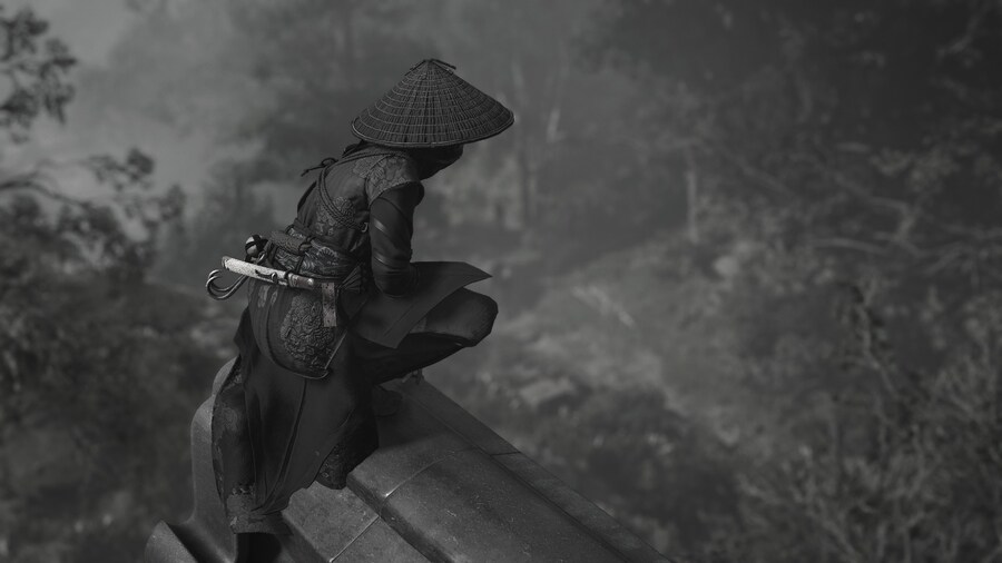 Assassin's Creed® Shadows_13.jpg