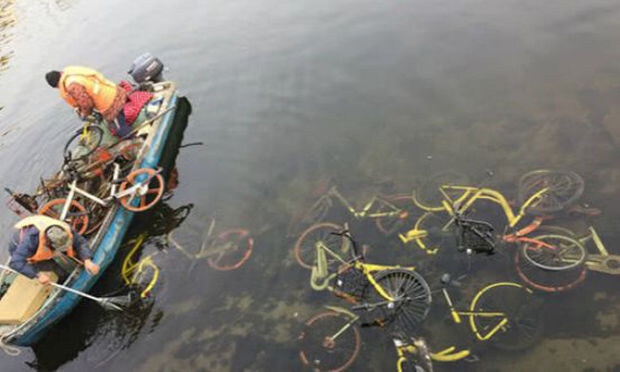 중국)사실 중국발 과잉생산은 전기차만의 문제가 아님_3.jpg