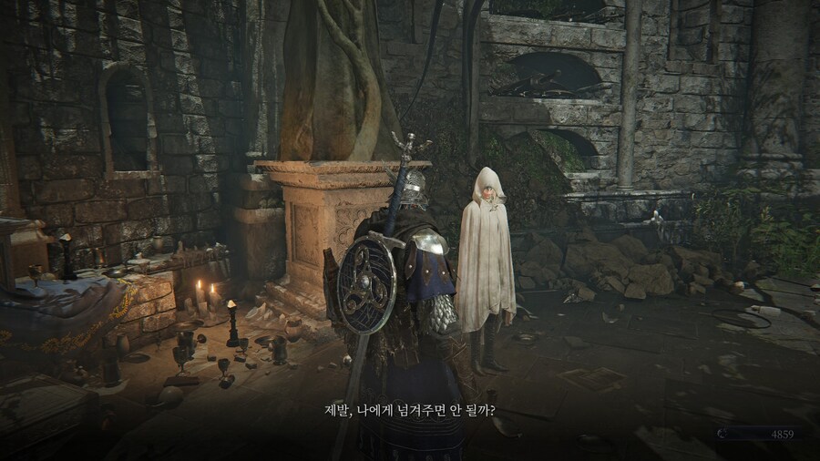 (엘든링) 엘밤통 캐릭터 스토리 - 레이디 편_3.jpg