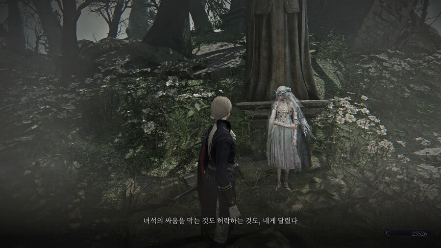 (엘든링) 엘밤통 캐릭터 스토리 - 레이디 편_31.jpg