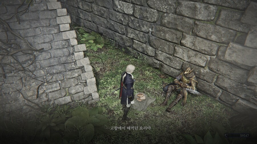 (엘든링) 엘밤통 캐릭터 스토리 - 레이디 편_46.jpg